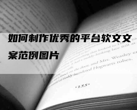 如何制作优秀的平台软文文案范例图片