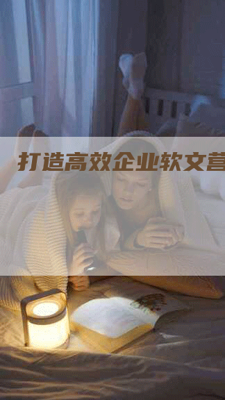 打造高效企业软文营销方案