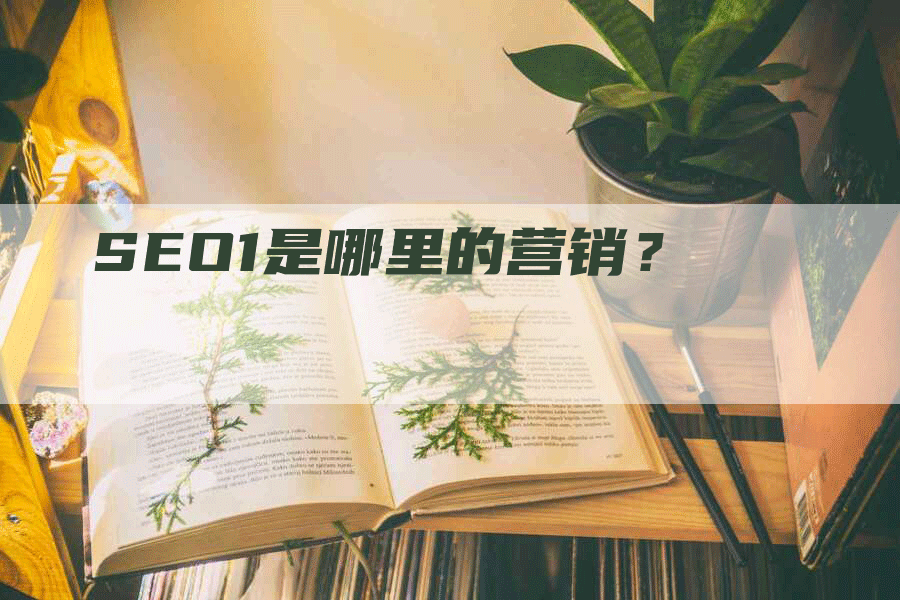 SEO1是哪里的营销？