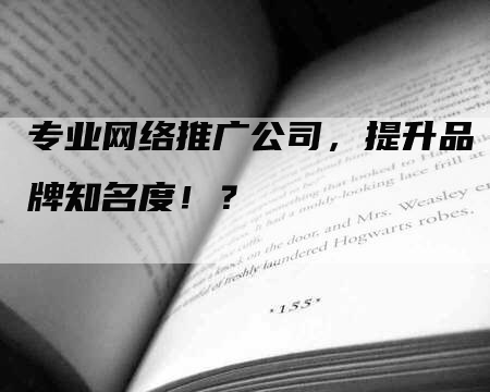 专业网络推广公司，提升品牌知名度！？