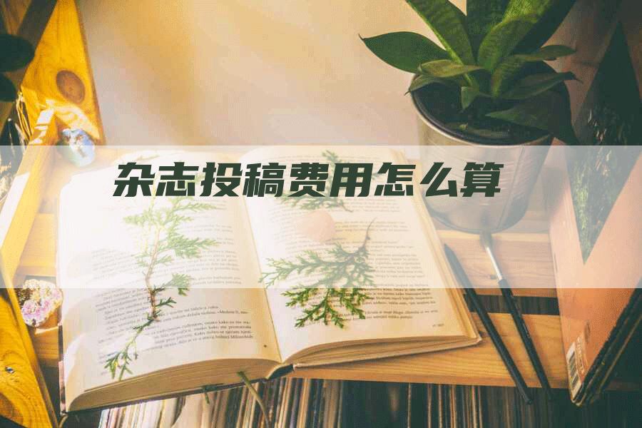 杂志投稿费用怎么算