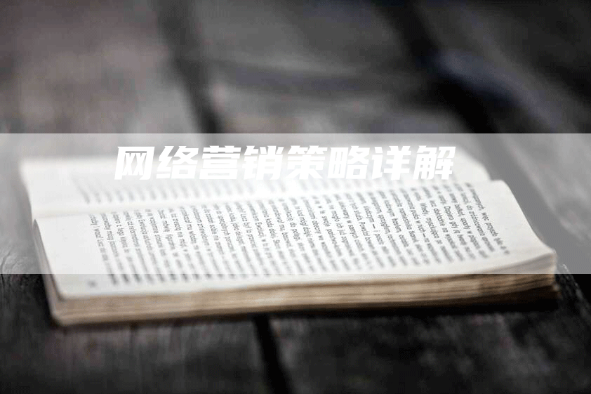 网络营销策略详解