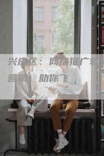 兴庆区：网络推广软文助力营销，助你飞