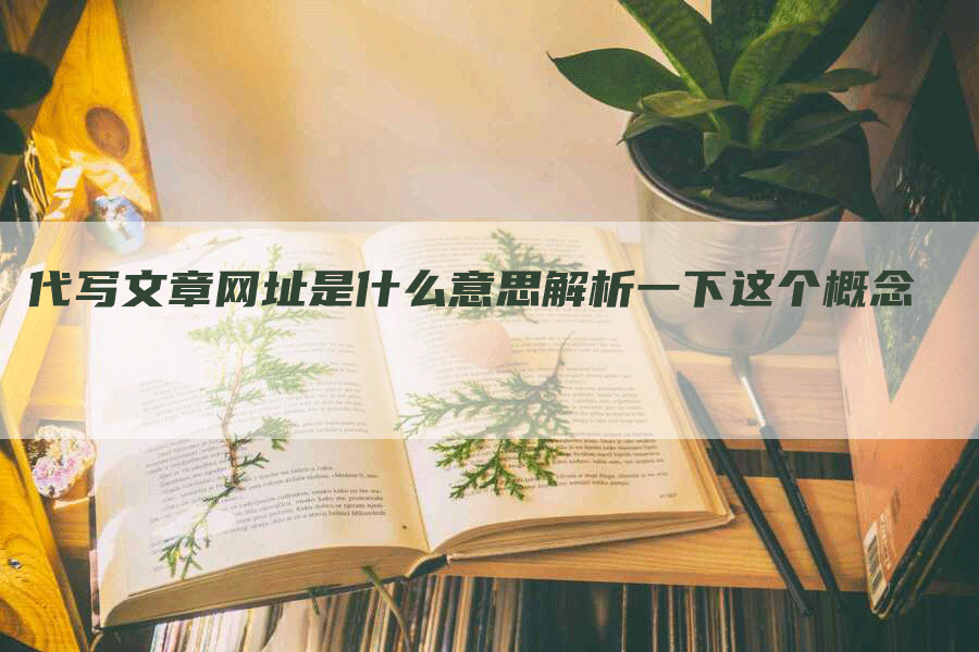 代写文章网址是什么意思解析一下这个概念