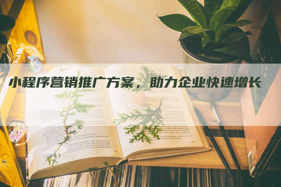 小程序营销推广方案，助力企业快速增长