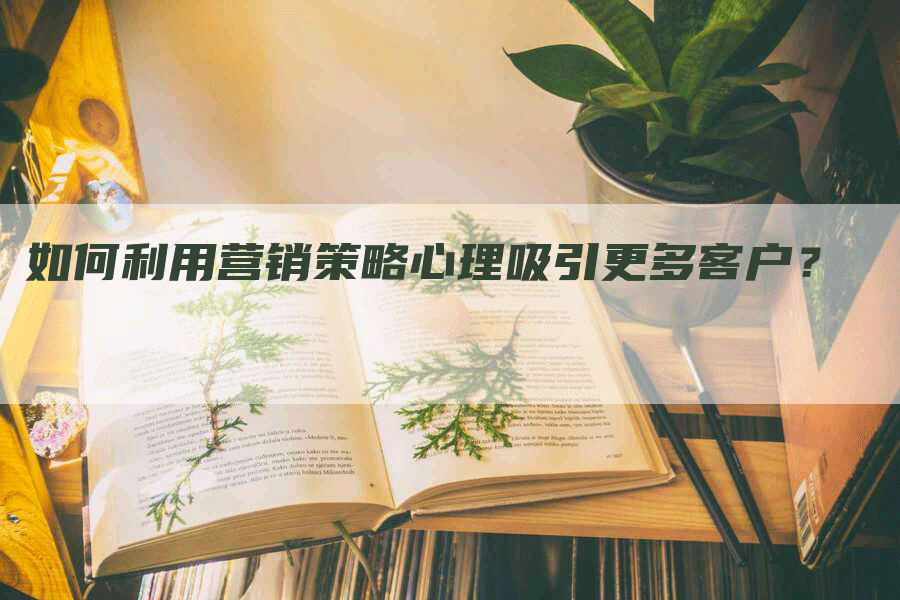 如何利用营销策略心理吸引更多客户？