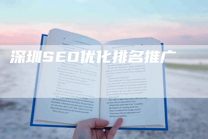 深圳SEO优化排名推广
