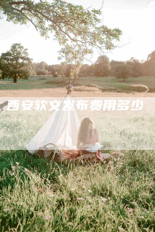 西安软文发布费用多少