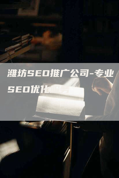 潍坊SEO推广公司-专业SEO优化服务