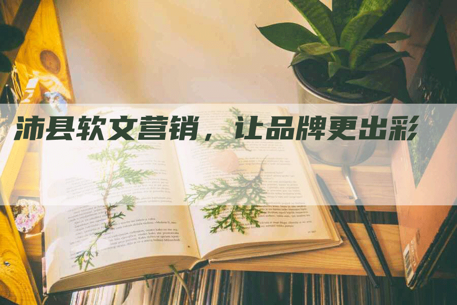 沛县软文营销，让品牌更出彩