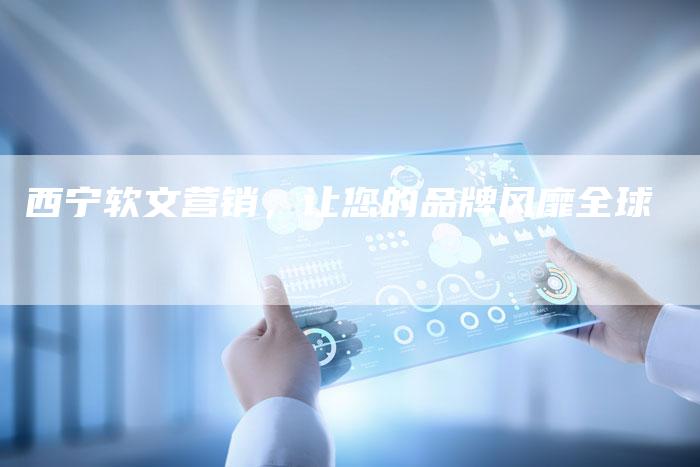 西宁软文营销，让您的品牌风靡全球