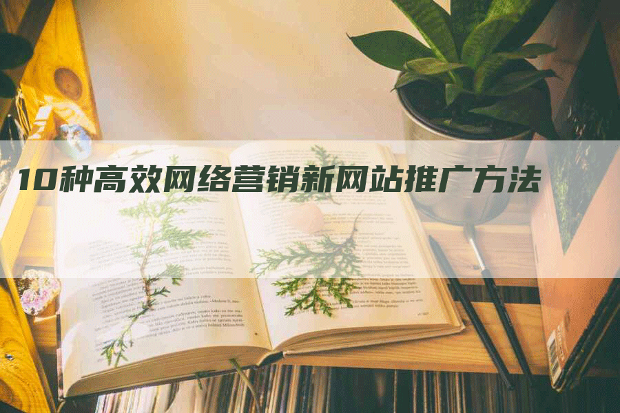 10种高效网络营销新网站推广方法