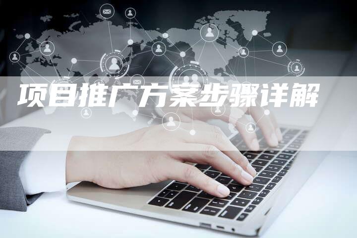 项目推广方案步骤详解