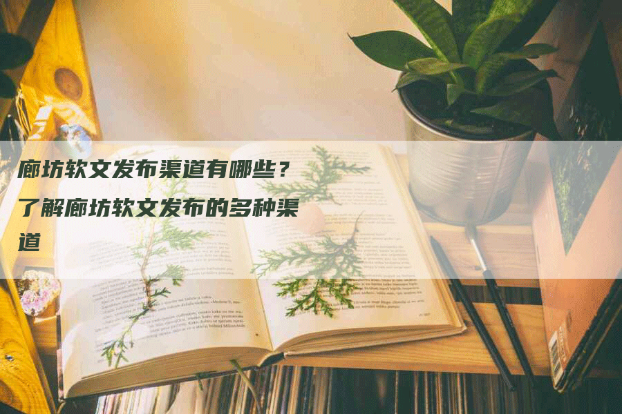 廊坊软文发布渠道有哪些？了解廊坊软文发布的多种渠道