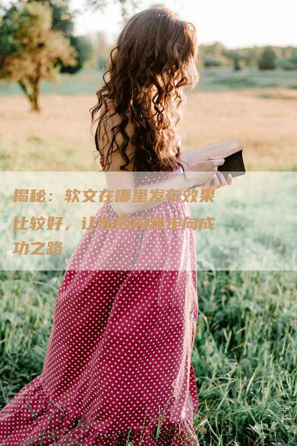 揭秘：软文在哪里发布效果比较好，让你的内容走向成功之路