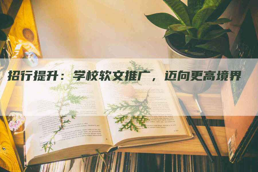 招行提升：学校软文推广，迈向更高境界