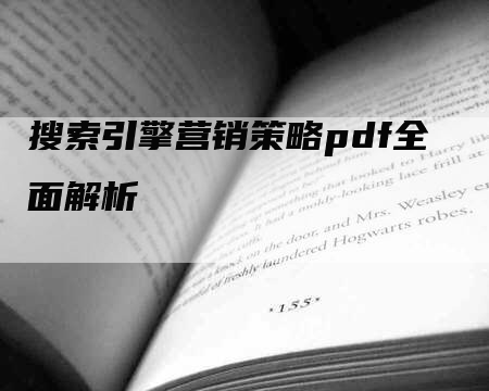 搜索引擎营销策略pdf全面解析