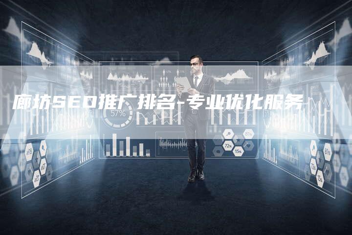 廊坊SEO推广排名-专业优化服务