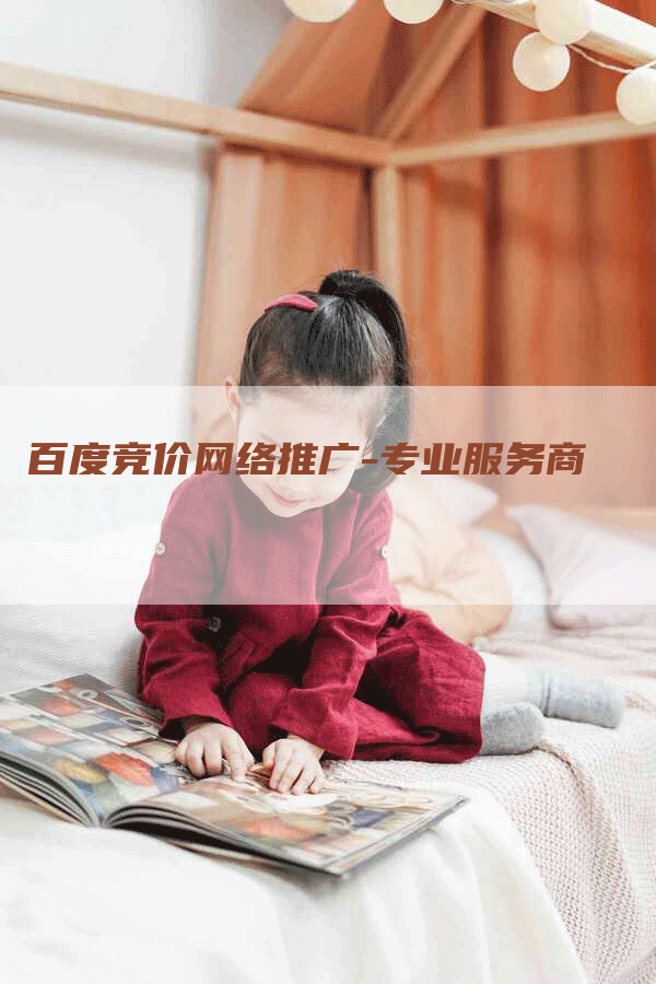 百度竞价网络推广-专业服务商