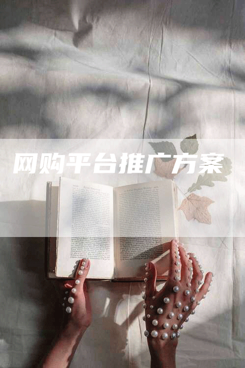 网购平台推广方案