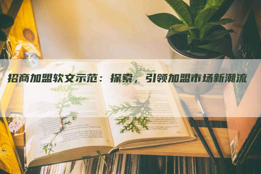 招商加盟软文示范：探索，引领加盟市场新潮流