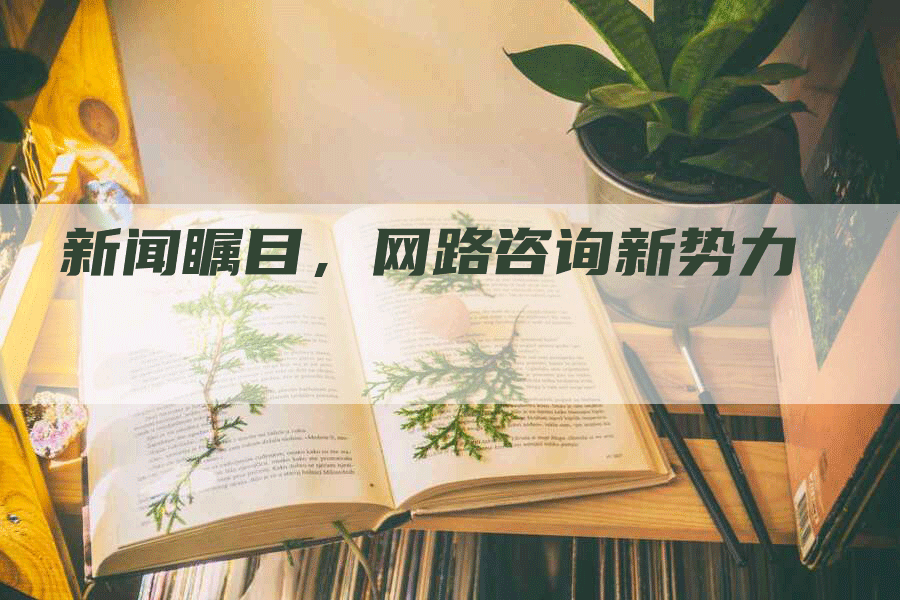 新闻瞩目，网路咨询新势力