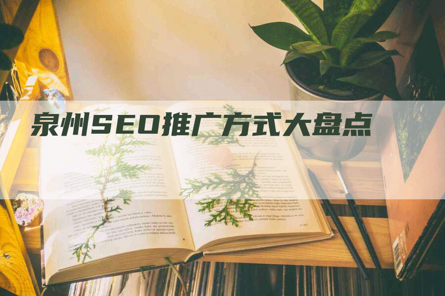 泉州SEO推广方式大盘点