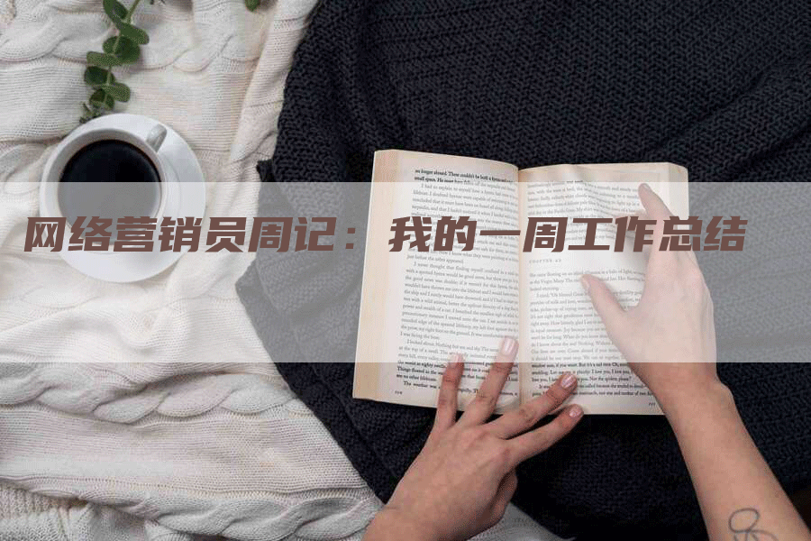 网络营销员周记：我的一周工作总结