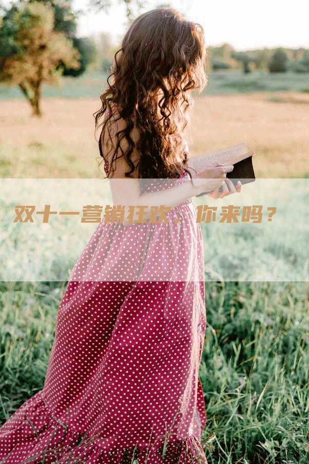 双十一营销狂欢，你来吗？