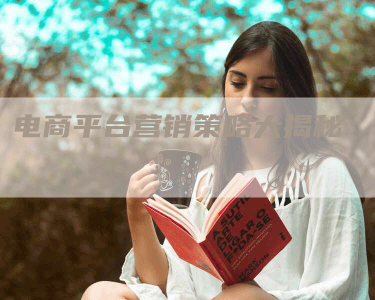 电商平台营销策略大揭秘