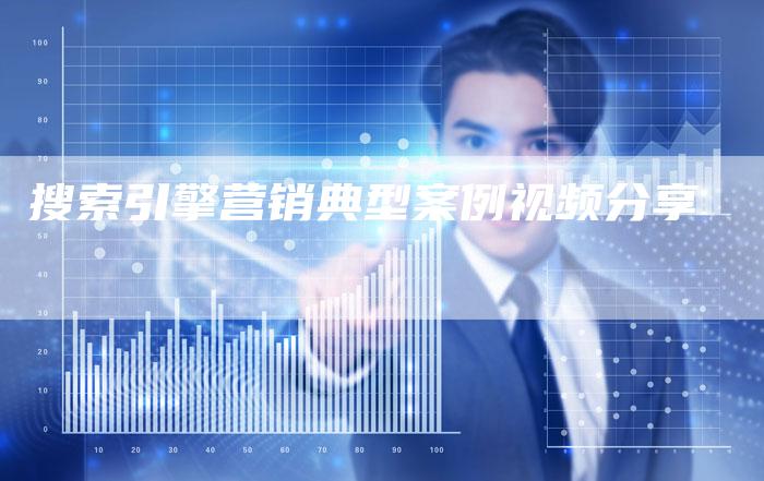 搜索引擎营销典型案例视频分享