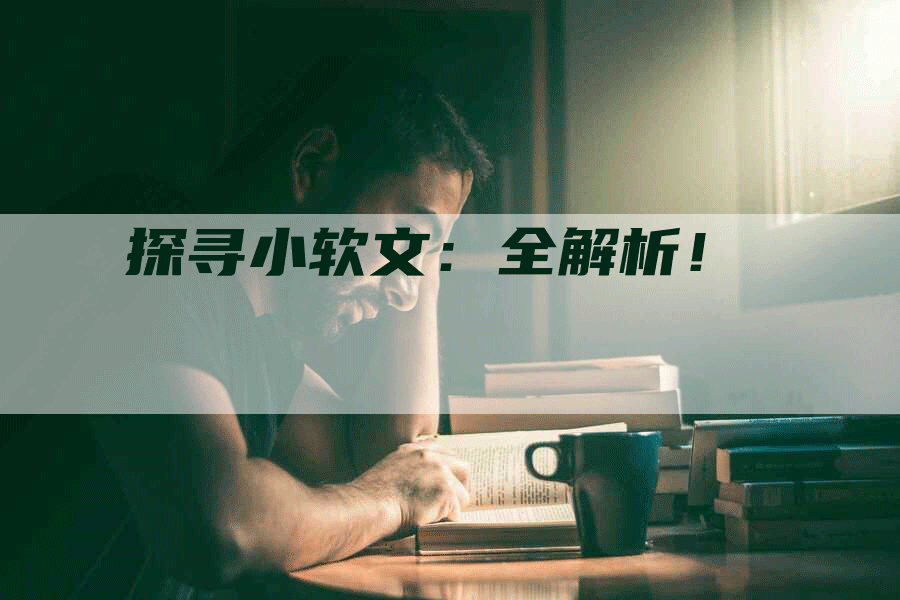 探寻小软文：全解析！