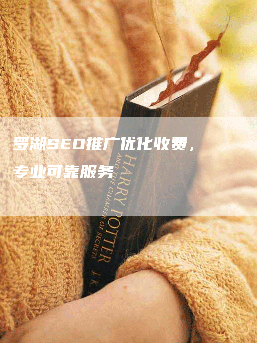 罗湖SEO推广优化收费，专业可靠服务