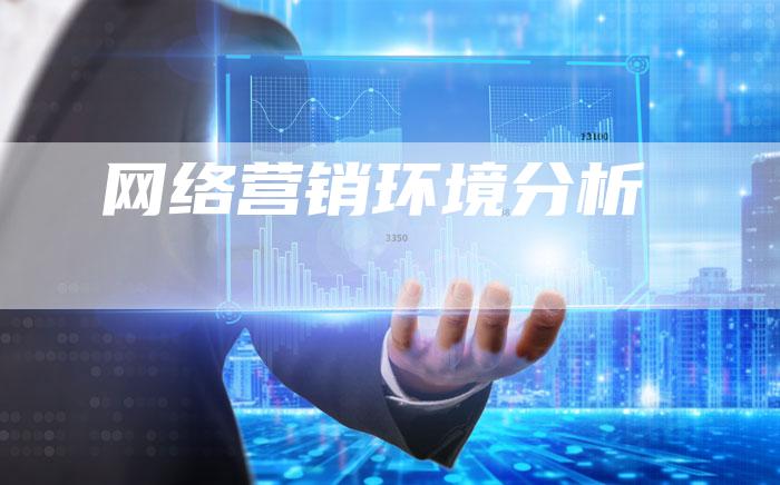 网络营销环境分析