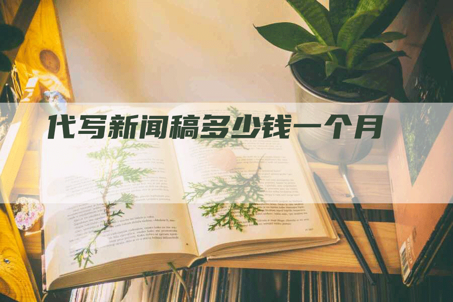 代写新闻稿多少钱一个月