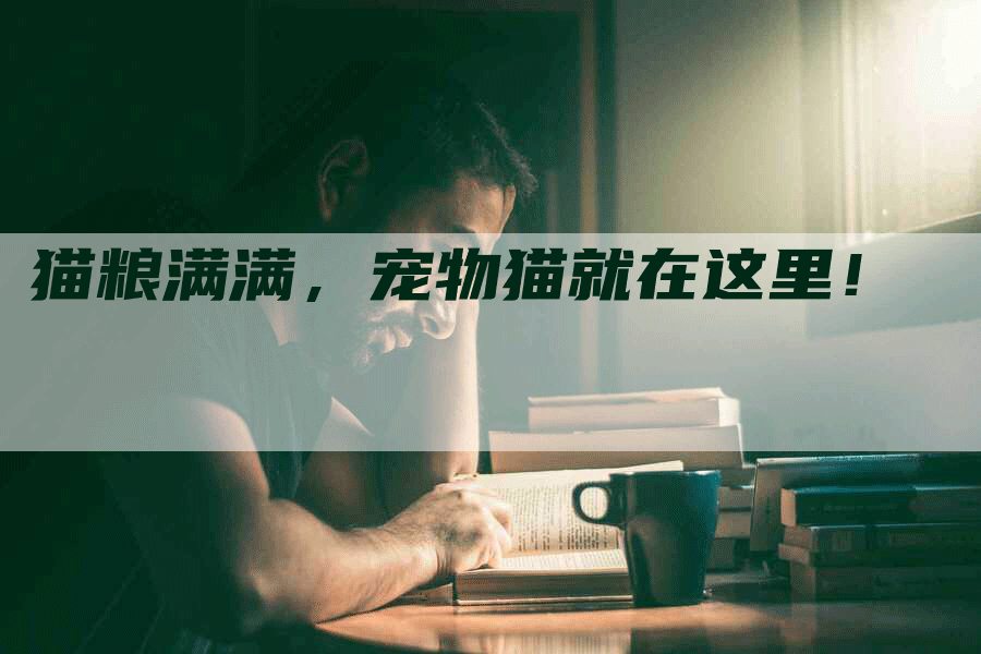 猫粮满满，宠物猫就在这里！