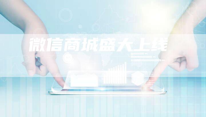 微信商城盛大上线