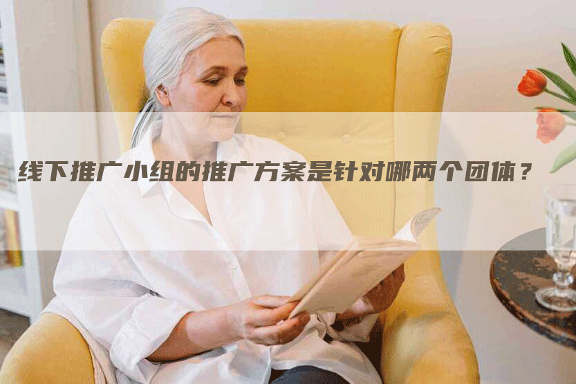 线下推广小组的推广方案是针对哪两个团体？
