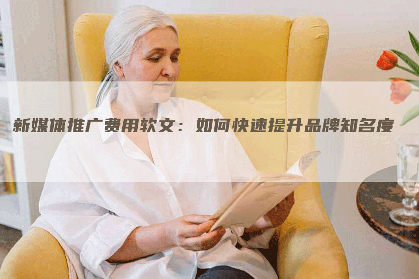 新媒体推广费用软文：如何快速提升品牌知名度