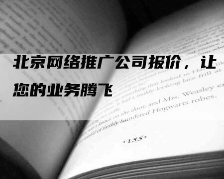 北京网络推广公司报价，让您的业务腾飞