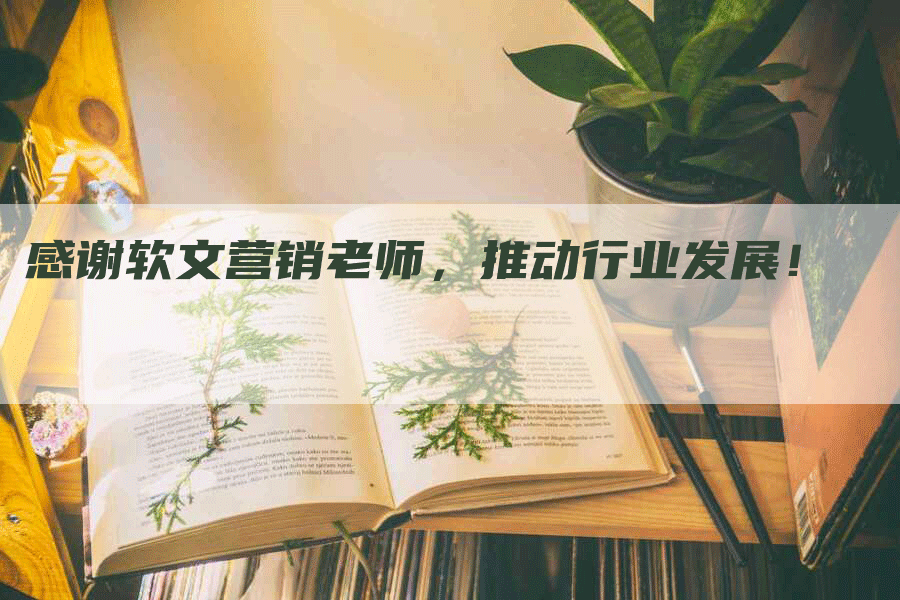 感谢软文营销老师，推动行业发展！