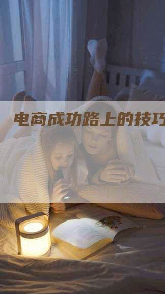 电商成功路上的技巧和方法